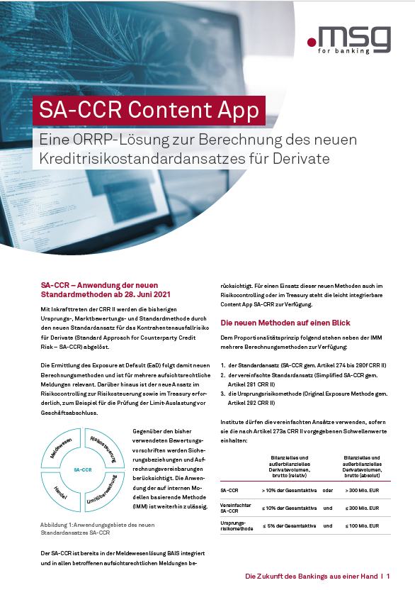 ORRP - SA-CCR Content App